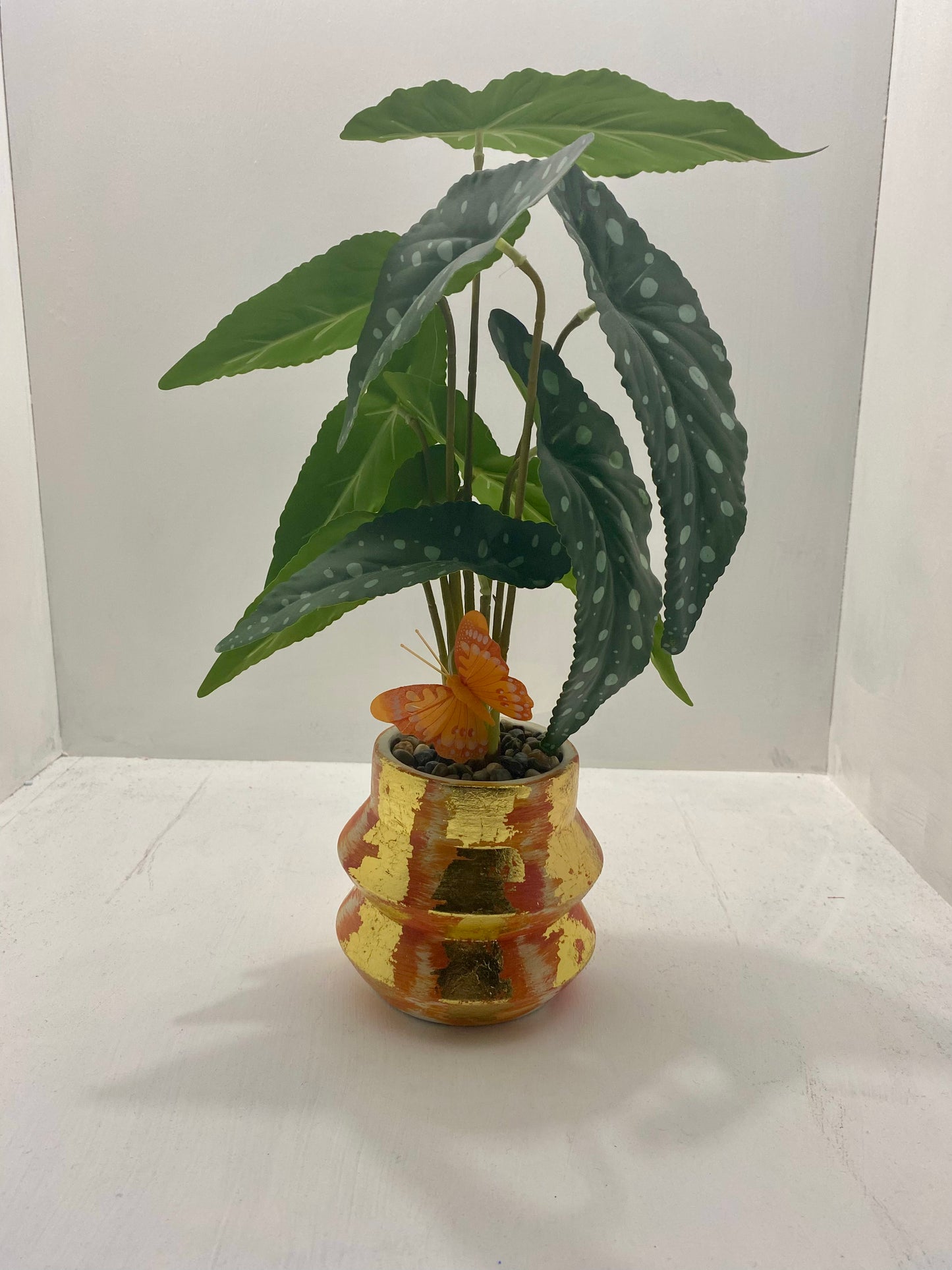 Gold Plant and Pot