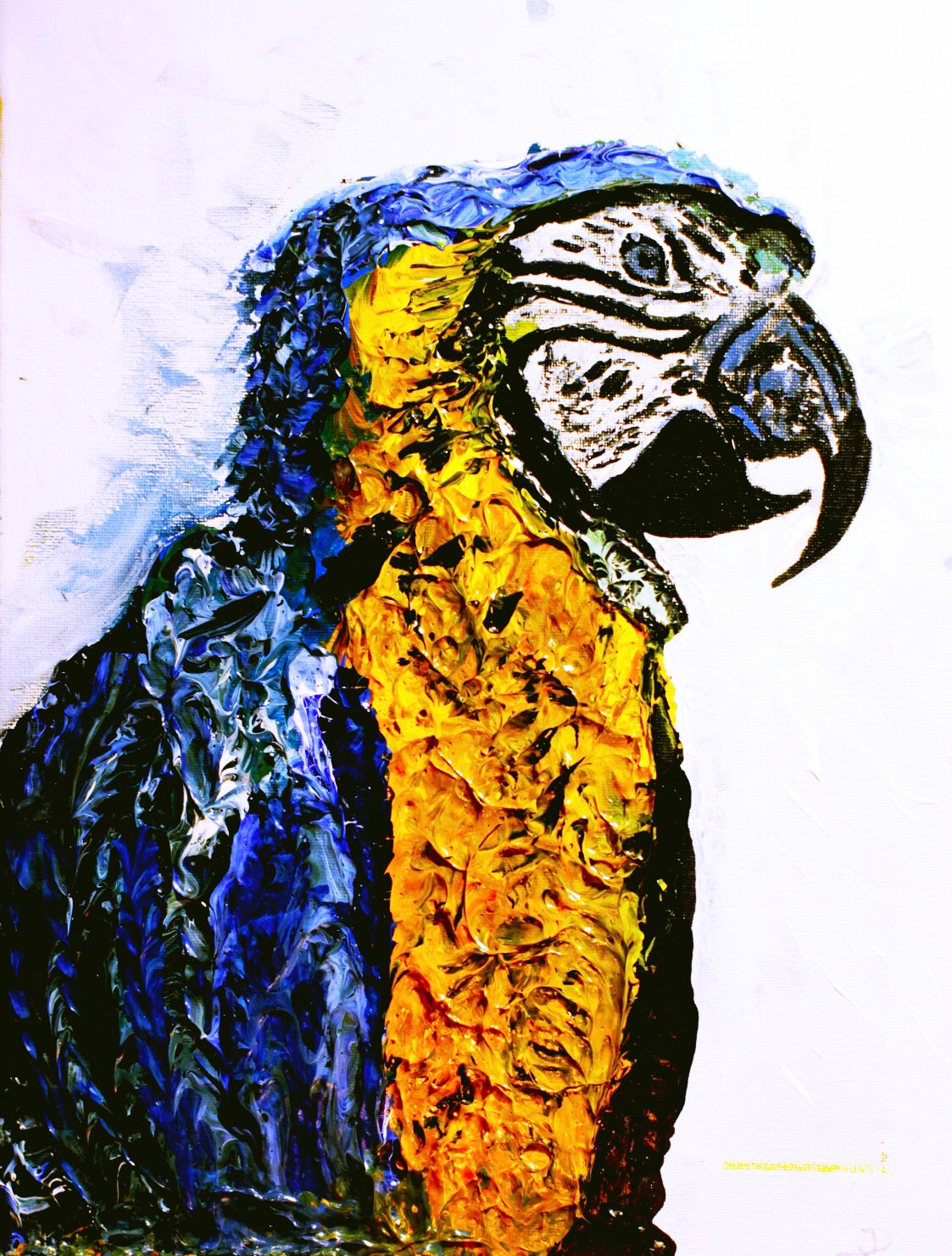 Macaw Keyring